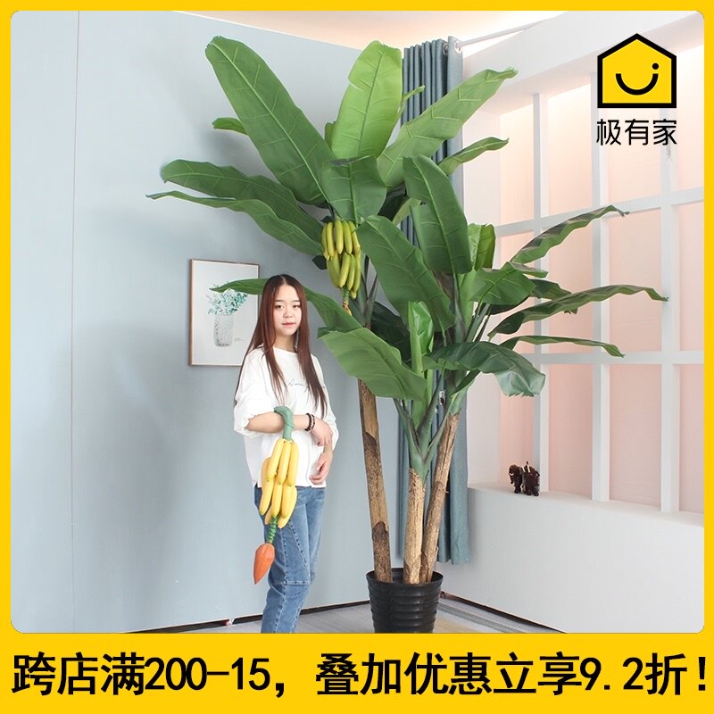 芭蕉树盆栽室内 新人首单立减十元 21年8月 淘宝海外