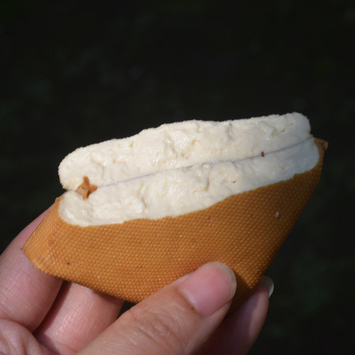 湖南正宗攸县香干湘菜石磨锅香原味嫩豆腐干2袋装16片真空包冰袋 - 图1