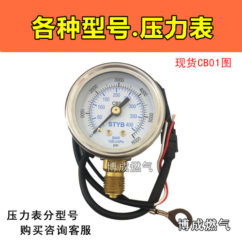 不锈钢压力表汽车天然气CNG燃气高压燃气CB01/02油改气08气量配件 - 图2