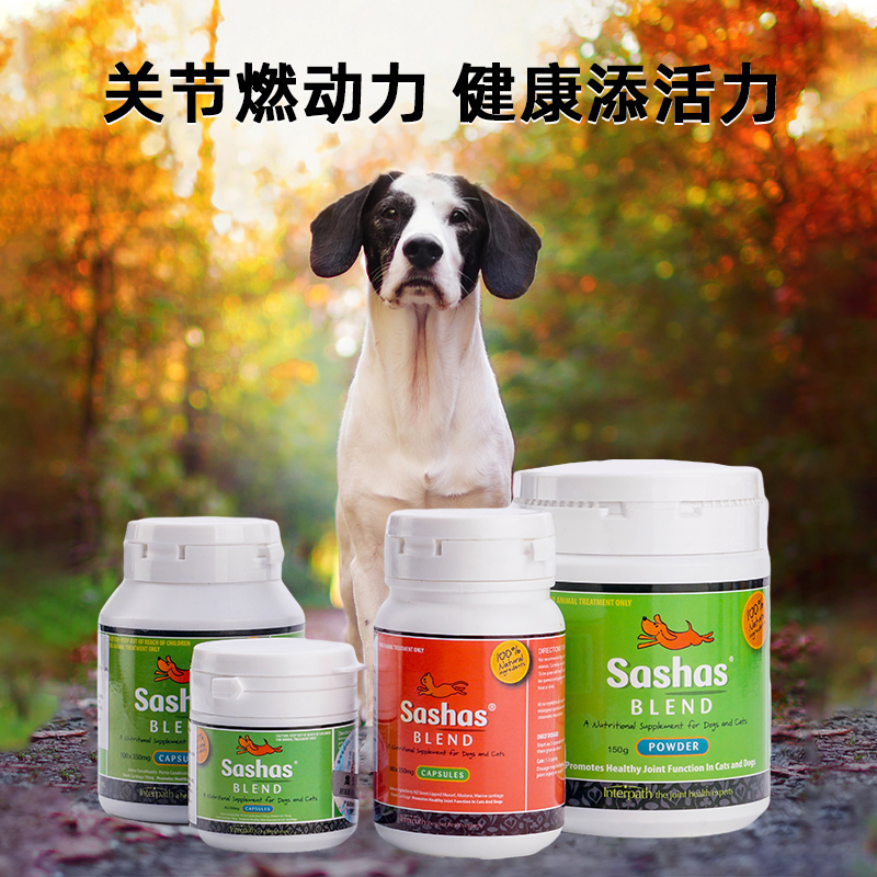 sashas萨沙关节灵胶囊粉剂鲨鱼软骨素猫咪软骨修复狗狗萨沙关节灵 - 图0