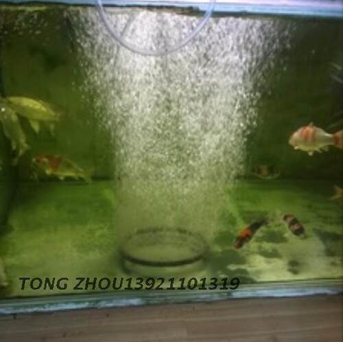 纳米增氧曝气管低中高密度淡水水质海水用具增氧出口品质 20mm - 图2