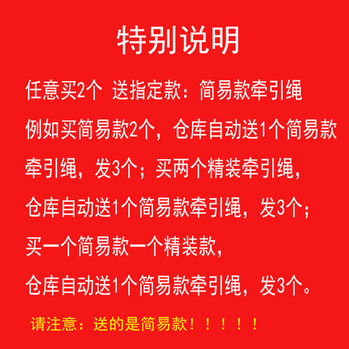 仓鼠牵引绳玩具花枝鼠链子训练溜松鼠绳熊仔牵引带Alice宠物用品 - 图1