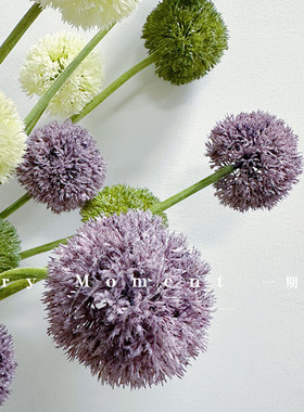 北欧家居花艺花材植绒仿真大葱球蒲公英大球客厅插花摆件拍摄道具