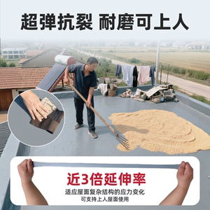 立邦防水胶补漏裂缝渗水防水材料屋顶补漏水泥地堵漏王耐高温涂料