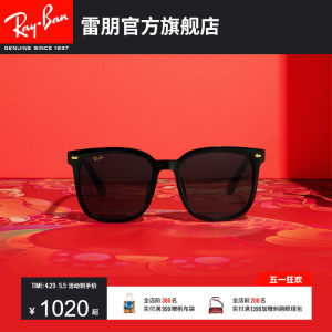 【龙年艺术家合作款成毅同款】RayBan雷朋太阳镜大框眼镜0RB4401D