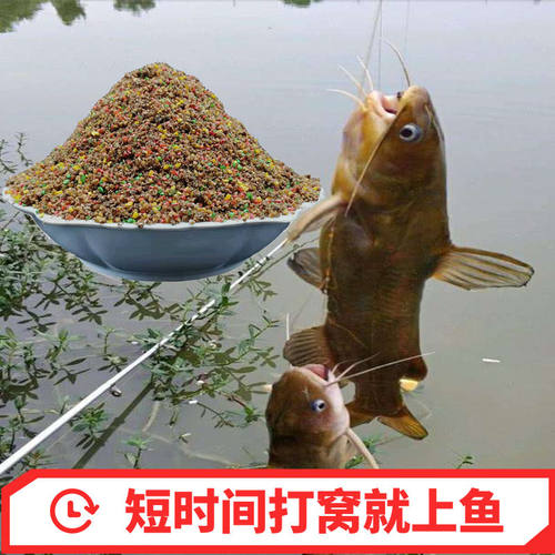 黄颡鱼窝料黄骨鱼饵料诱鱼信息素黄辣丁小药汪刺黄辣丁昂公底窝料 - 图0