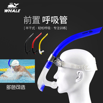 Whale Adult Children Professional Free Swimming Training Equipped Ventilation Underwater Respirator Front Dry Breathing Tube