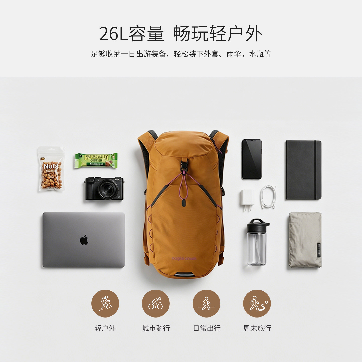 图 3