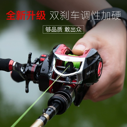 Луя Полюс одинокий полюс Луя Рыба -палоч