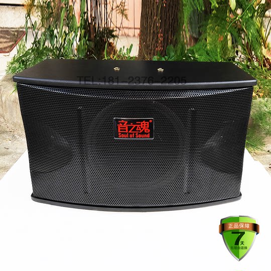 新款10寸卡包音响家用KTV舞台会议室无源壁挂ifi音箱专业音之魂