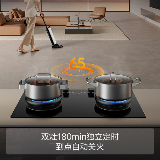 Hot product of the year FOTILE 03-TEK20 gas stove timed dry-burning prevention double-burner gas stove official flagship store