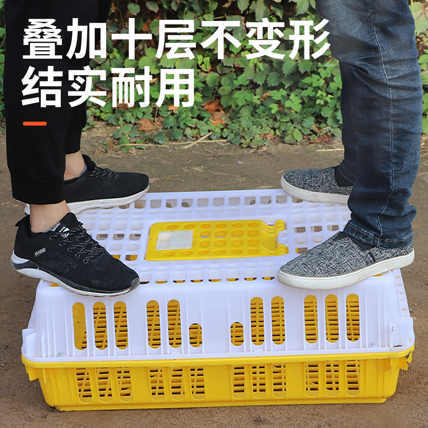 鸡笼周转箱运输鸡笼筐家用成鸡鸭鹅鸽子周转运输笼筐塑料养殖笼,淘宝优惠券,粉丝福利购,淘宝优惠卷