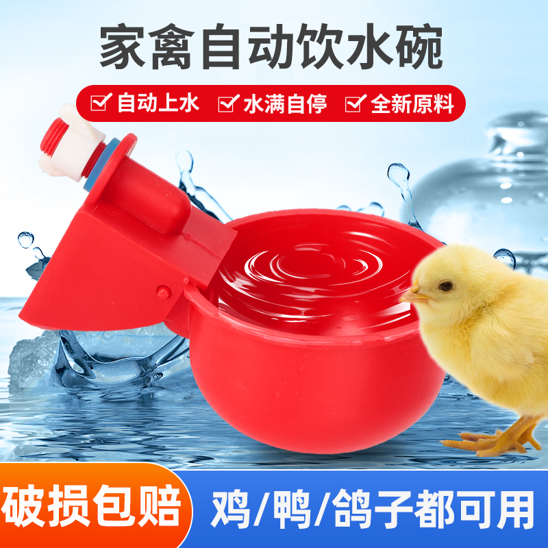 养鸡用自动饮水器鸭鹅鸽子饮水碗喝水碗鹌鹑家禽饮水器雏鸡喂水器