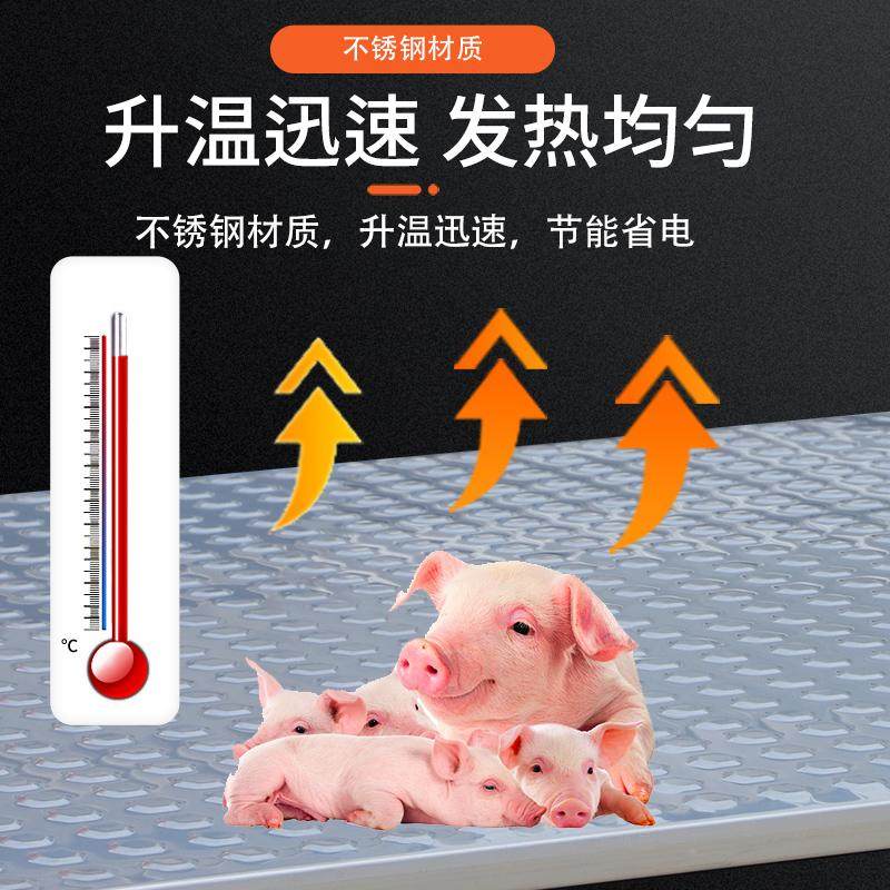 仔猪不锈钢电热板兽用猪用恒温加热板小猪保温取暖板养殖保温设备,淘宝优惠券,粉丝福利购,淘宝优惠卷