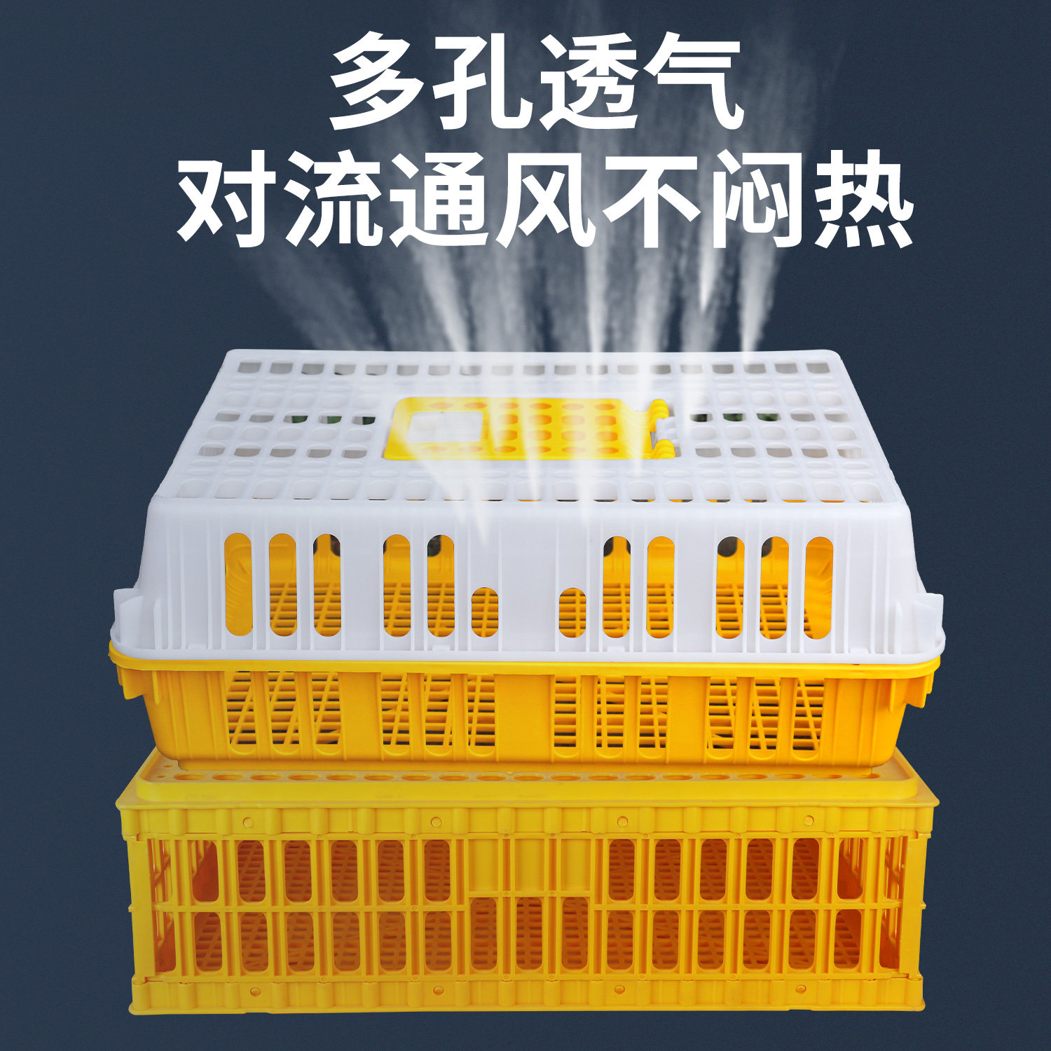 鸡笼周转箱运输鸡笼筐家用成鸡鸭鹅鸽子周转运输笼筐塑料养殖笼,淘宝优惠券,粉丝福利购,淘宝优惠卷