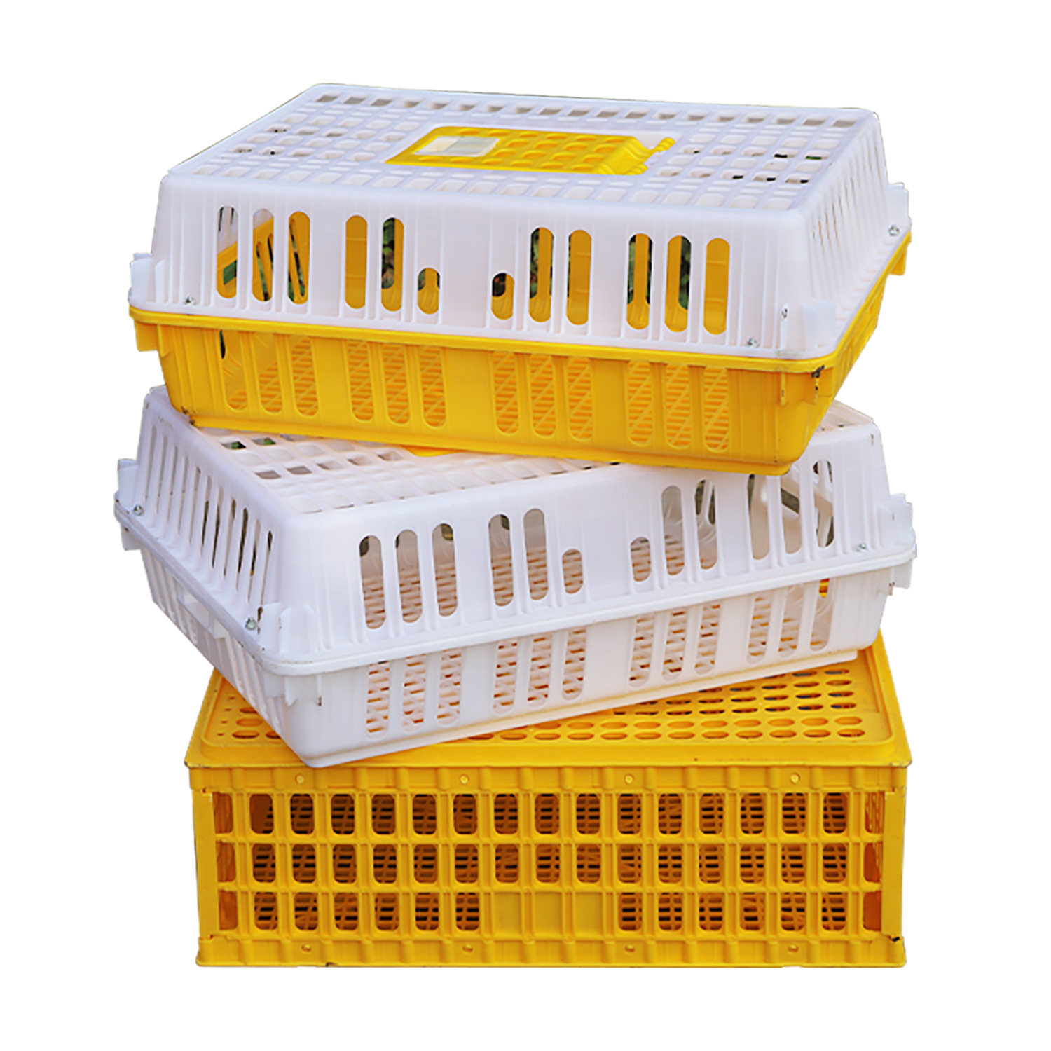 鸡笼周转箱运输鸡笼筐家用成鸡鸭鹅鸽子周转运输笼筐塑料养殖笼,淘宝优惠券,粉丝福利购,淘宝优惠卷