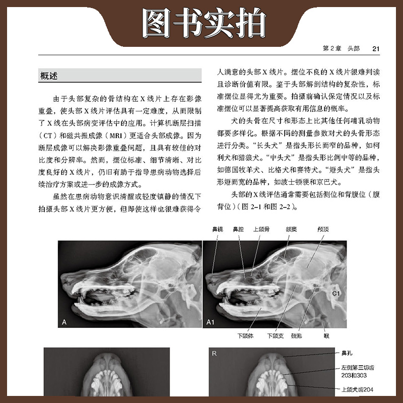 犬猫正常放射解剖与变化图谱 第3版 第三版 [美]Donald E. Thrall 主译 戴榕全 邝 怡 谢富强 x线检查湖北科学技术出版社 - 图3