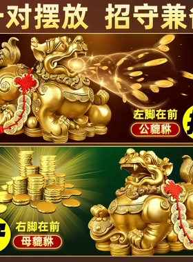 铜貔貅招财摆件公母一对纯铜旺财