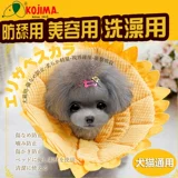 Япония Кодзима Элизабет Кот Кот Тедди Золотой Мао щенок большой круг круга ворон