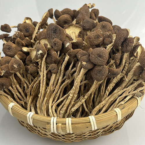 茶树菇包邮江西土特产广昌茶树菇不开伞干度好农家自种天然 - 图0