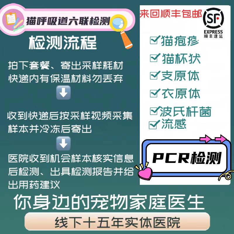 猫咪鼻支口炎呼吸道六联核酸检测PCR疱疹杯状支原体衣原体弓形虫-图0