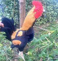 Fighting Chicken Model Fake Cockpit Chicken training Supplies hopper Chicken Fake chicken Emulated Cockpit chicken Brook Plush Fighting Chicken