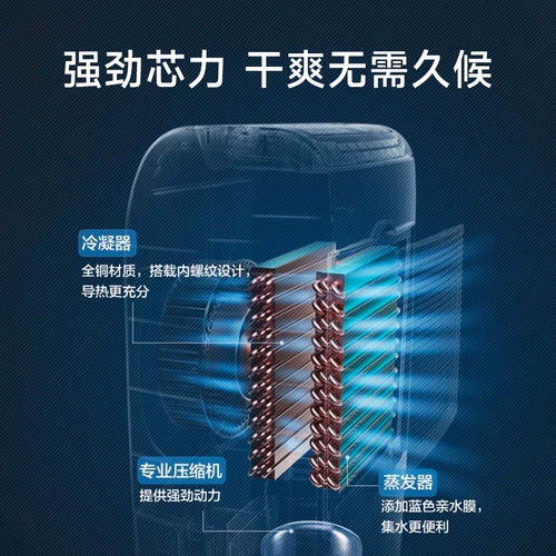 Panasonic Dehumidifier Домохозяйство Dehumidifier Внутренняя сушилка в подвале подвальная влажность обратно в нантианский осушитель F-ICJ10C