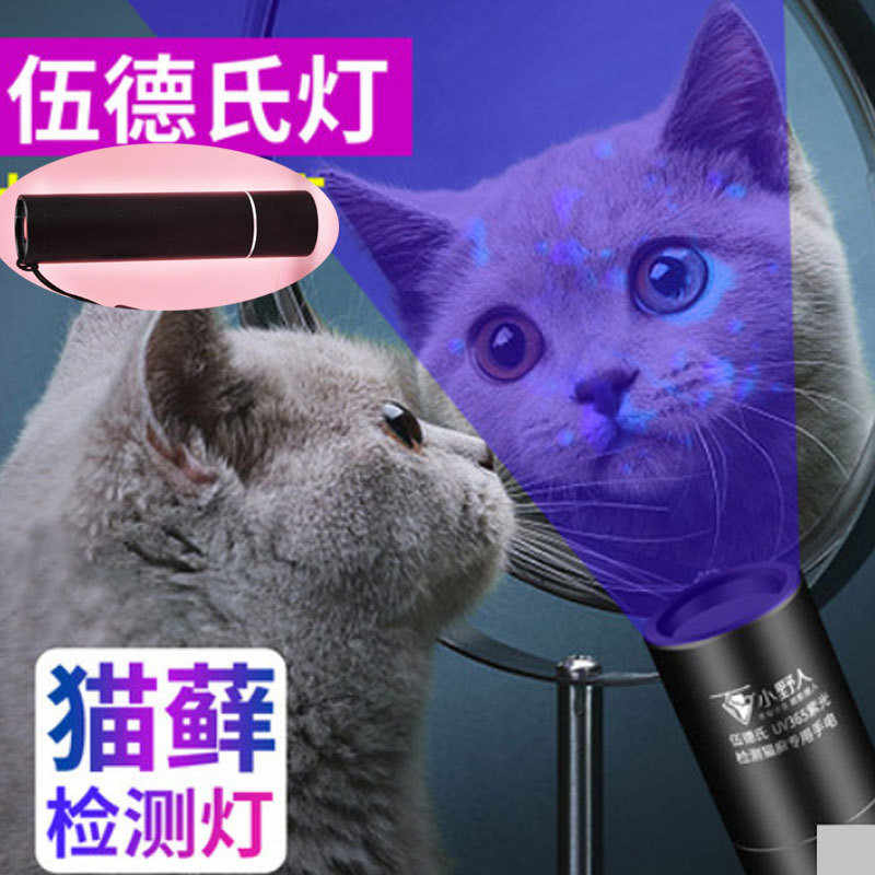伍氏燈哪裡買燈光設備 Yihbk