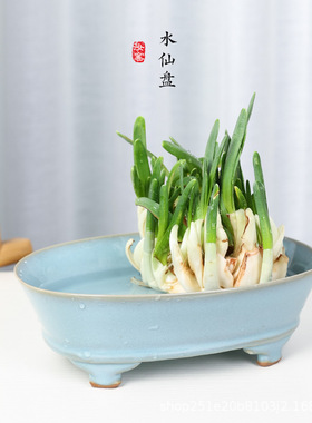 水仙花盆陶瓷汝窑水仙花专用盆