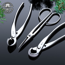 Tripod wood knuckle cut bonsai trim styling special tools to professionally make spherical scissors Spherical Pincers Bud