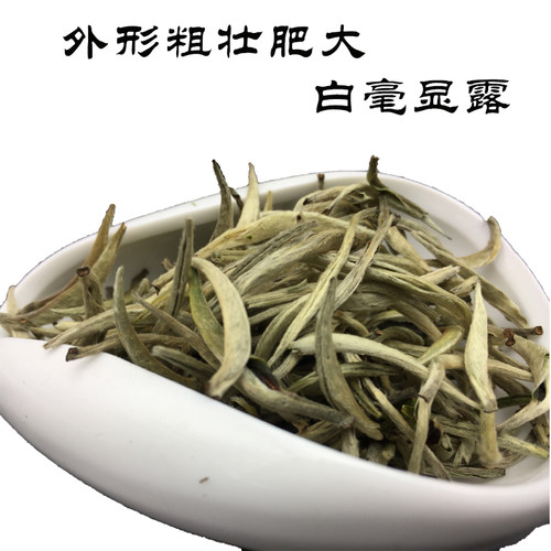 2026年头春茶广东仁化白毛尖绿茶丹霞银毫散装礼盒装袋装茶农直销 - 图3
