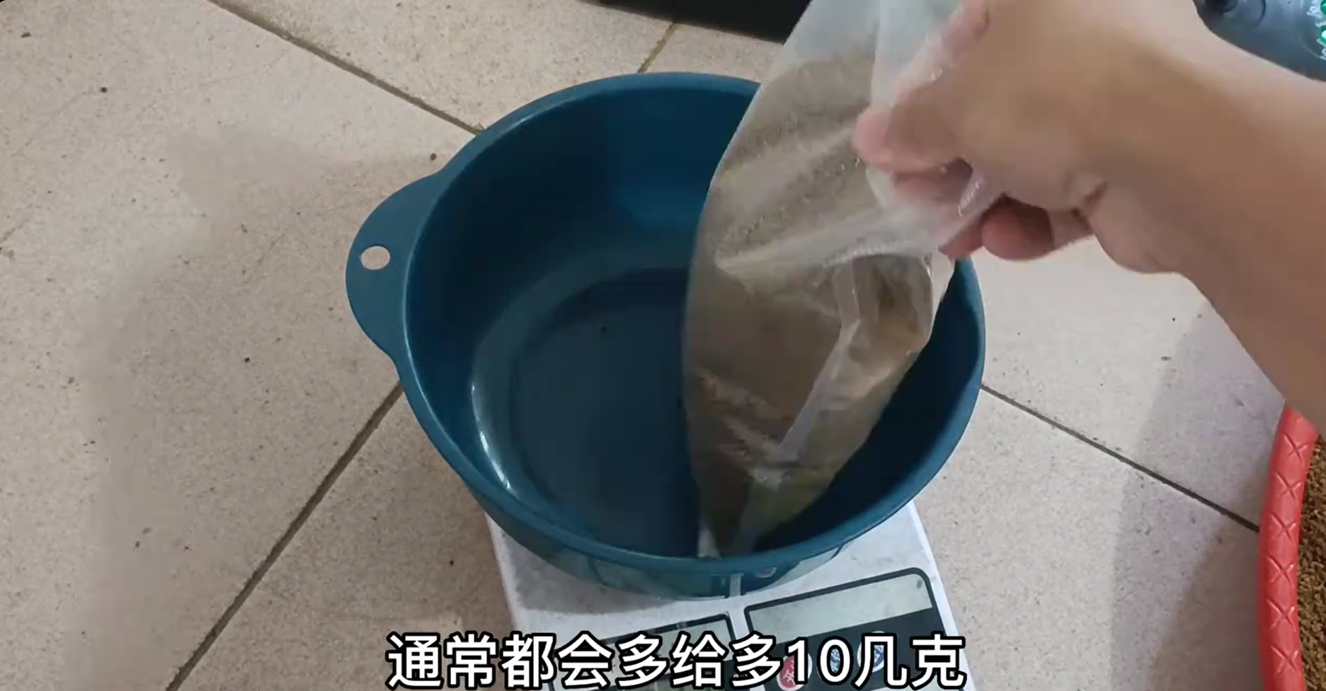 纯手工绣眼白眼食蒸制鸟食饲料真材实料手工制作提性养膘日常养生 - 图3