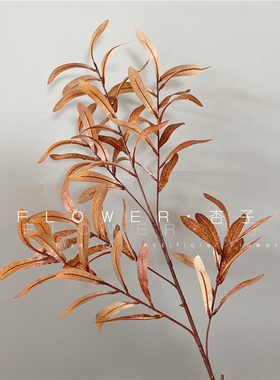 仿真橄榄枝叶冬青榕树叶枫叶皂角叶仿真植物婚庆插花墙装饰橄榄枝