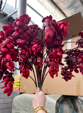 INS风紫色仿真花门楣花镜前花橱窗软胶啤酒花藤蔓绿植样板间装饰