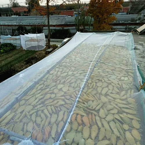 Новые товары Shandong Weihai White Frost Sweet Potato Dry 5 Catties Jiaodong Farmhouse Farmhouse Self -Made.