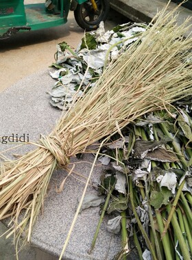 枯草干草杂草摄影道具干花松果