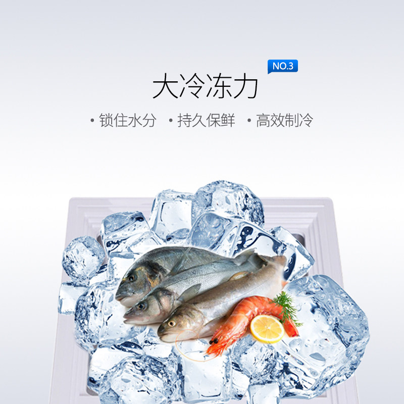 aucma /澳柯玛家用商用冷冻大冰柜 向达电器冷柜