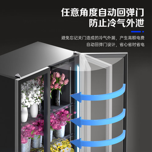 澳柯玛鲜花保鲜柜花墙花店专用酒水水果冷藏展示柜冷柜冰箱风冷 - 图2