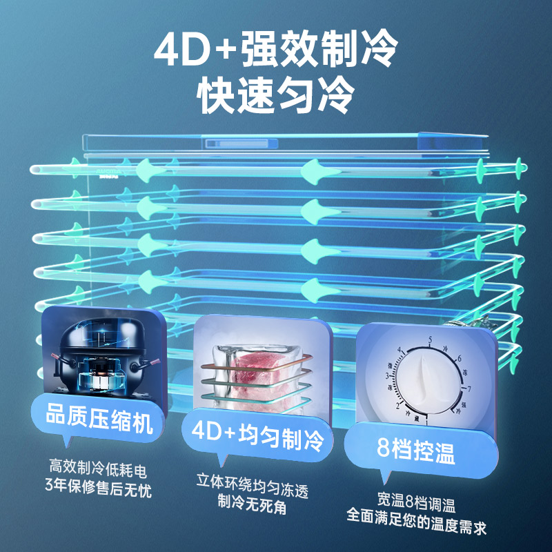 Aucma/澳柯玛 BC/BD-323NE大冰柜商用大容量家用冷柜超市一级能效 - 图1