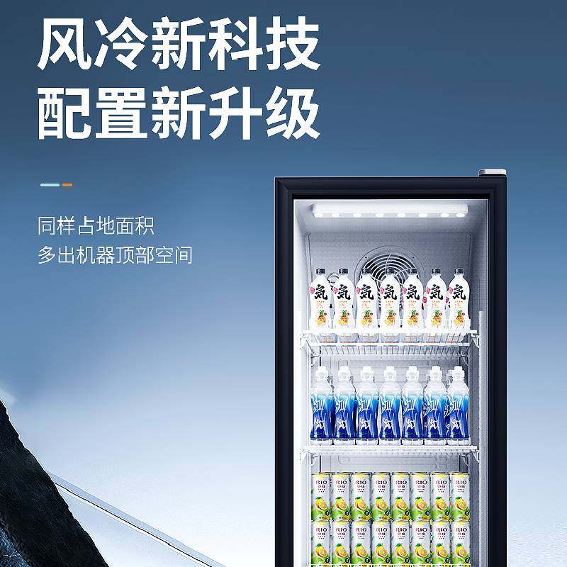 澳柯玛冷藏保鲜柜水果鲜花饮料柜 澳柯玛展示柜