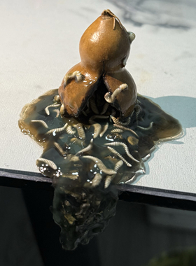 葫芦坏了 原创抑制食欲泡面压惊悚恶心整蛊玩具