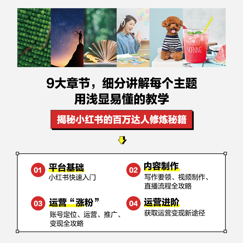 小红书达人实操攻略 内容策划视频制作直播带货运营变现 5小时吃透小红书运营操作指南互联网自媒体运营实战书短视频图文案制作