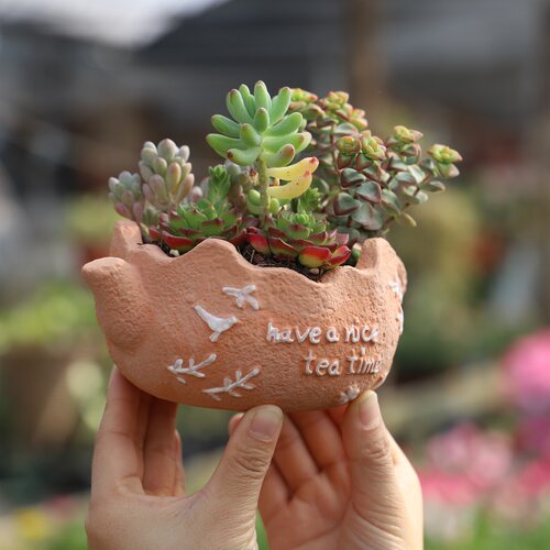 红陶大壶系列抹白花朵壶 小鸟花枝沙拉杯洒水壶造型盆个性桌面盆 - 图2