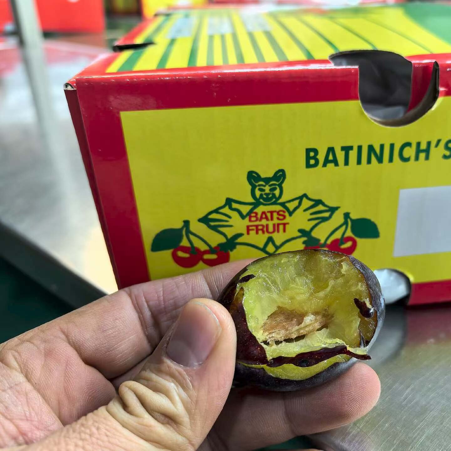 澳洲蝙蝠西梅3～5斤澳大利亚进口大西梅当季新鲜水果李子顺丰包邮,淘宝优惠券,粉丝福利购,淘宝优惠卷