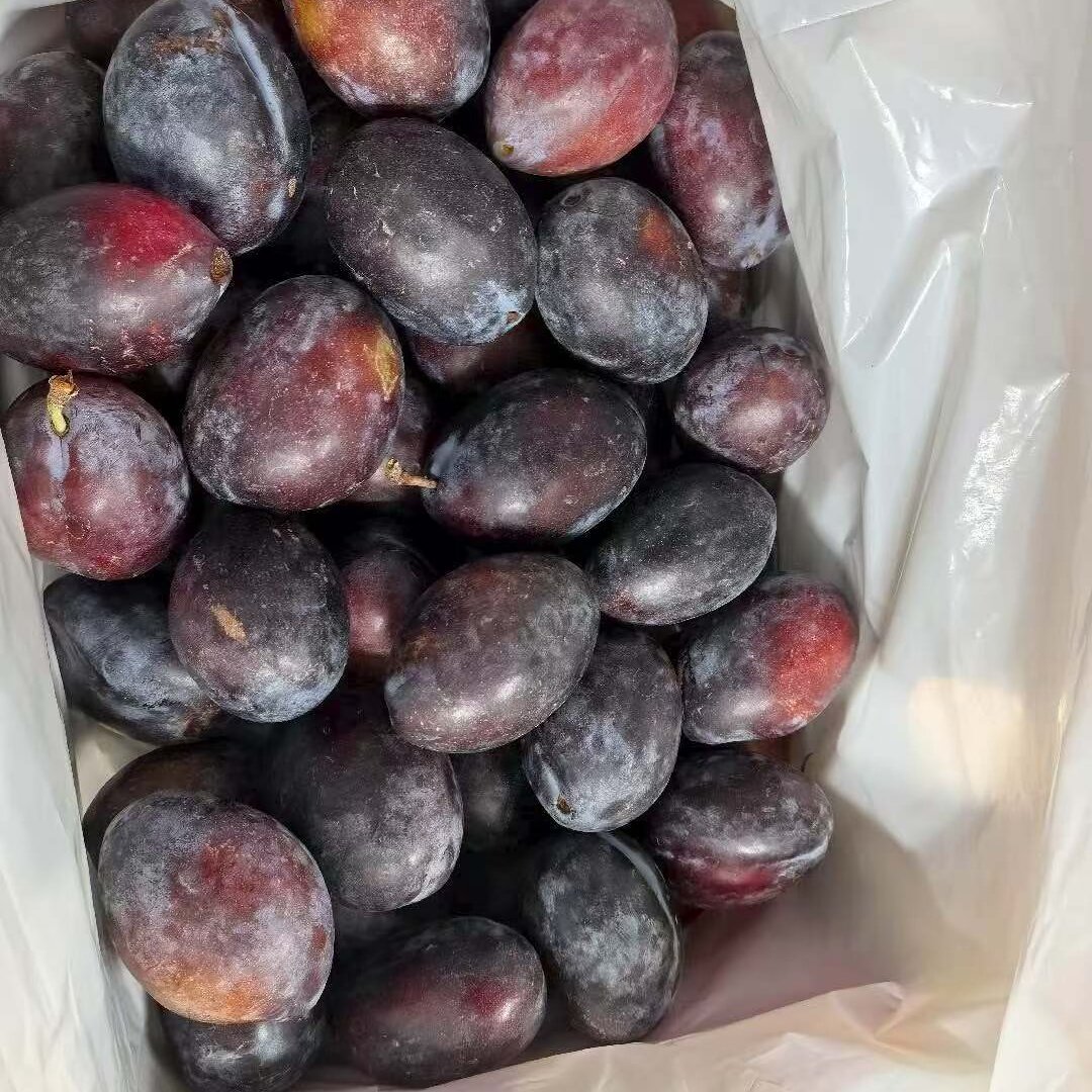 澳洲蝙蝠西梅3～5斤澳大利亚进口大西梅当季新鲜水果李子顺丰包邮,淘宝优惠券,粉丝福利购,淘宝优惠卷