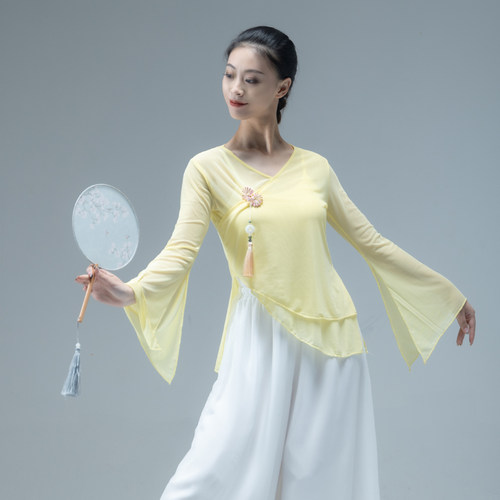 古典舞身韵练功服女夏纱衣民族舞上衣艺考仙气飘逸舞蹈服装敦煌舞 - 图0