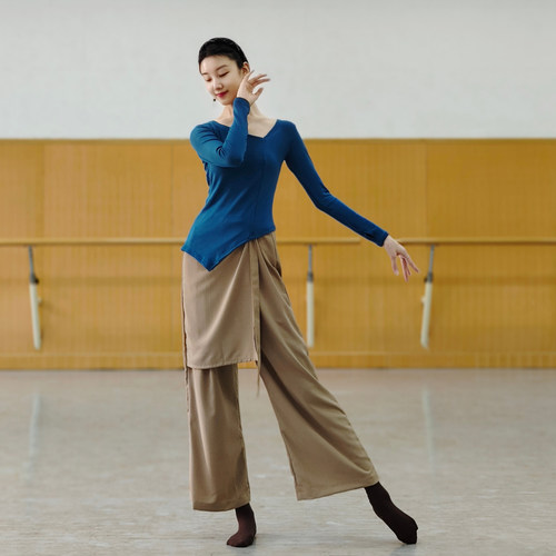 现代舞春夏舞蹈练功服上衣古典舞专业形体训练飘逸长袖服装女艺考 - 图0