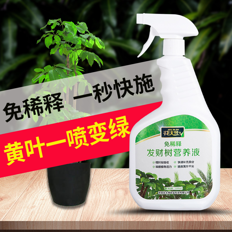 免稀释发财树肥料专用营养液幸福树金钱树巴西木植物通用型液体肥 - 图1