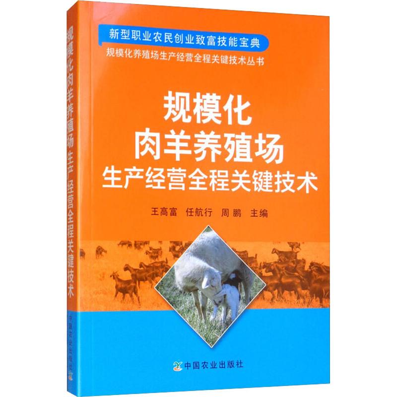 养羊技术书籍大全3册高效健康养肉羊全程实操图解羊养殖技术书羊常用药羊病诊疗与处方手册饲料配方疾病**知识黑山羊山羊养肉羊 - 图2