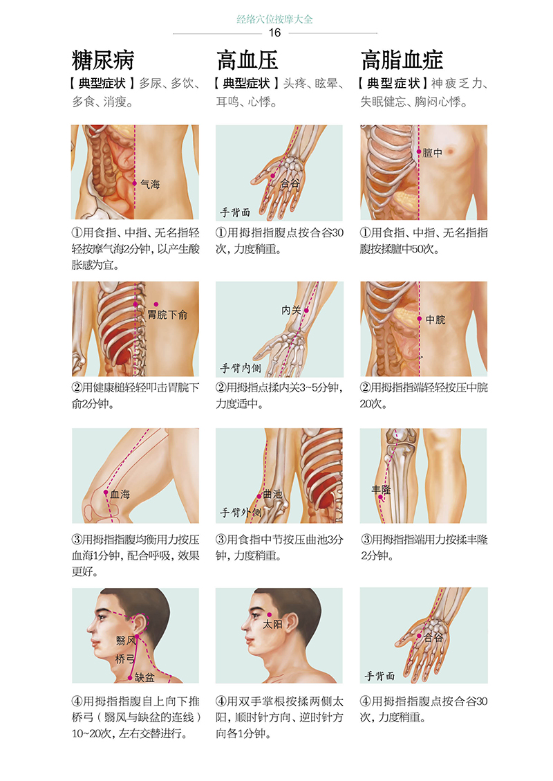 经络穴位按摩大全穴位推拿按摩书籍中医养生书籍大全人体经络穴位图图册快速找穴位书健康养生医学类书零基础入门学会中医调理理论-图2